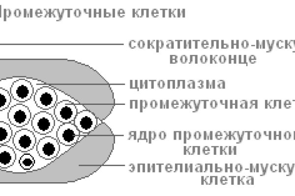 Блекспрут нет