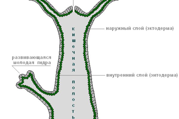 Блекспрут com ссылка