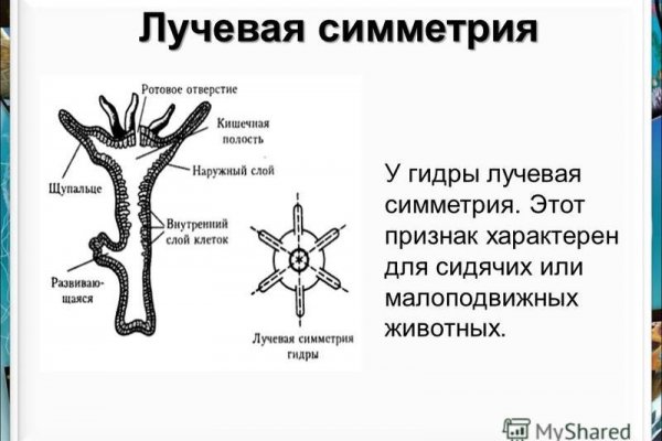 Как зайти на сайт blacksprut bs2webes net