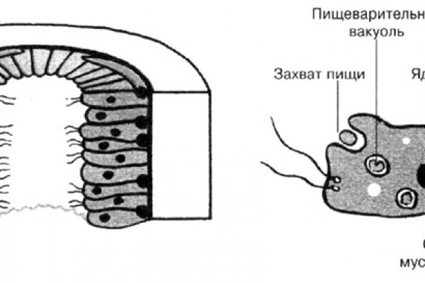 Блэкспрут это будущее bs2web top