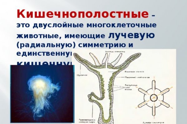 Ссылка blacksprut bs2onion org