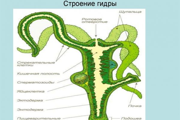 Сайт блэк blacksprut adress com